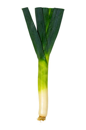 Leek Green Onion Isolated on white background. Selective focus.の写真素材