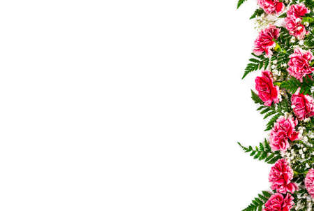 Carnation Flowers Isolated on White Background. Design concept for mothers day, wedding and valentines day with copy space. Panoramic image. Selective focus.の写真素材