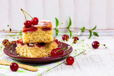Summer Tart Cherry Cake with Powdered Sugar. Selective focus.の写真素材