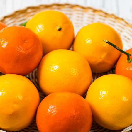 Mandarin and Lemon Oranges. Meyer lemon Hybrid Citrus Fruit Native to China. Selective focus.の写真素材