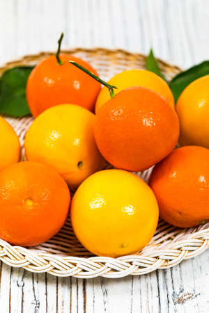 Mandarin and Lemon Oranges. Meyer lemon Hybrid Citrus Fruit Native to China. Selective focus.の写真素材