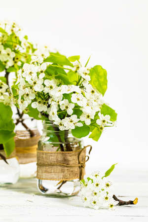Beautiful Spring Apple Blossoms on white background. Spring Design Concept with copy space. Selective focus.の写真素材
