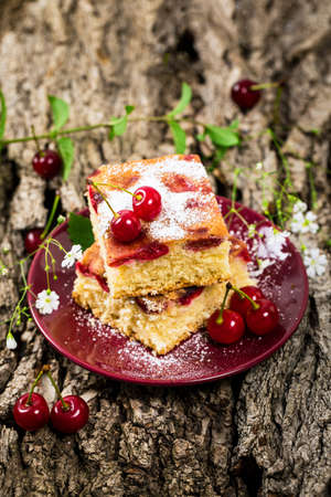 Summer Tart Cherry Cake with Powdered Sugar. Selective focus.の写真素材