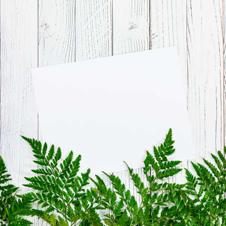 Green Fern Leaves or Leather Leaf on White Vintage Wooden Background with Sheet of Paper. Design concept for mothers day, wedding and valentines day with copy space. Selective focus.の写真素材