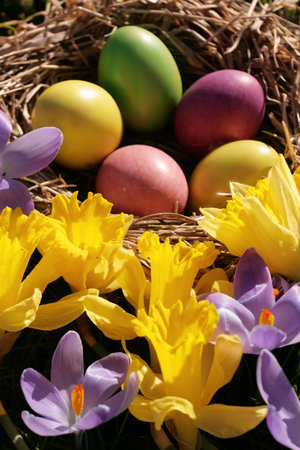 Easter eggsの写真素材