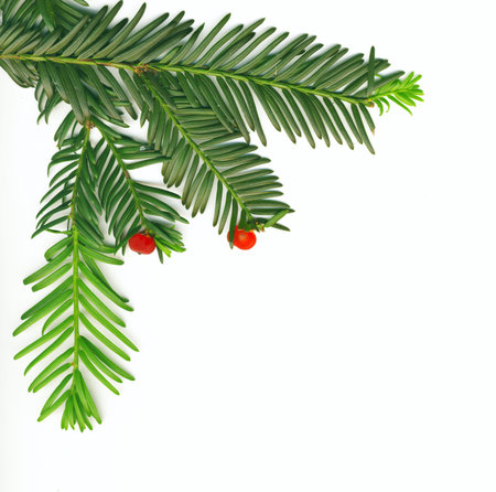Christmas traditional decoration in the corner