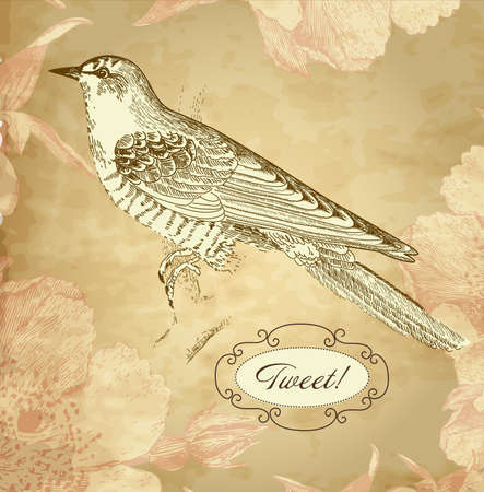 vintage card with a birdのイラスト素材