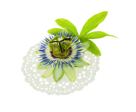 passionflower on a napkin with leafの写真素材