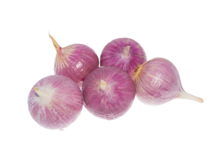 five large garlic it is isolatedの写真素材