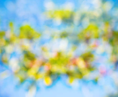 abstract natural spring background,  bokehの写真素材