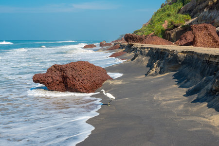 landscape of the coast with a white bird of Varkala  India, Kerala