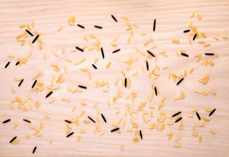 brown and wild riceの写真素材