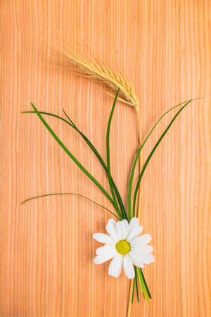 ear  wheat with chamomile and grass on wood textureの写真素材