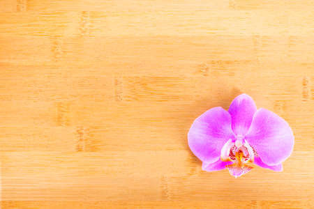 lilac  orchid on wooden bamboo の写真素材