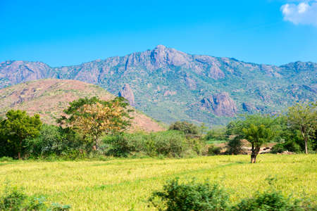 beautiful landscape of mountains in India, Keralaの写真素材