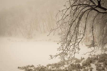 foggy winter lake and sailfish with covering the branches of trees in forest, vintage style の写真素材