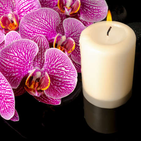 blooming twig stripped violet orchid (phalaenopsis ) on zen stones with drops and candle with reflection on water, closeupの写真素材