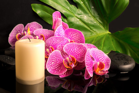 spa setting of zen stones with drops, blooming twig of stripped violet orchid (phalaenopsis ), green leaf and candle with reflection on waterの写真素材
