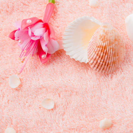 spa soft concept with delicate pink flower fuchsia, seashells on terry texture, closeupの写真素材