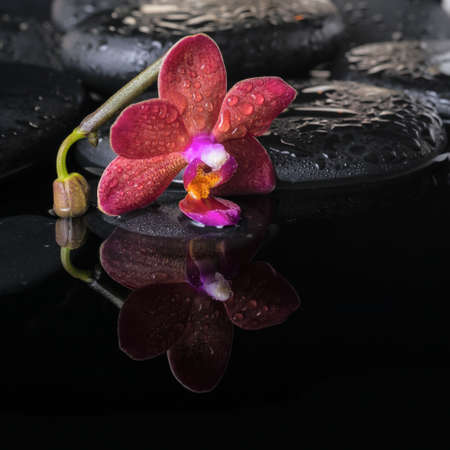 Beautiful spa concept of zen stones with drops, purple orchid (phalaenopsis) and bud, candles with reflection on water, towelsの写真素材
