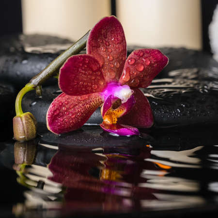 spa concept of deep purple orchid (phalaenopsis), zen stones with drops, candles and stacked towels with ripple reflection waterの写真素材