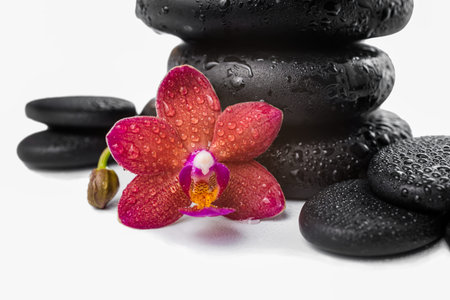 pile black zen stones and red orchid, phalaenopsis on white background, spa concept, closeupの写真素材