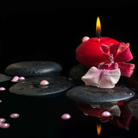 spa still life of red candle, zen stones with drops, orchid cambria flower and pearl beads in water, black background, closeupの写真素材
