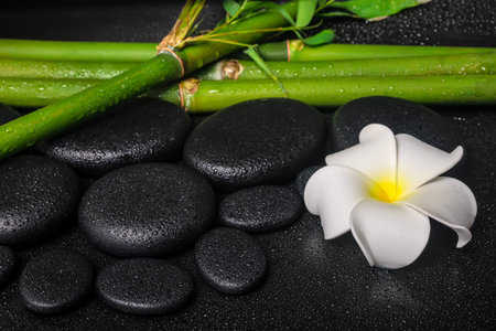 spa concept of zen basalt stones, white flower frangipani and natural bamboo with drops, closeup の写真素材