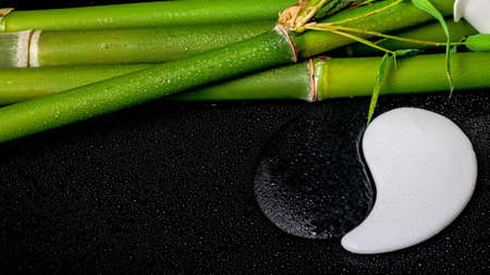 spa setting of white frangipani flower, symbol Yin Yang and natural bamboo with leaves on zen basalt stones with drops, closeup の写真素材