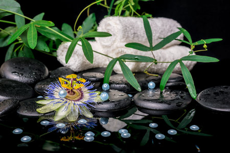 spa concept of passiflora flower, branches, towels, zen basalt stones with drops and pearl beads in dark water, closeupの写真素材