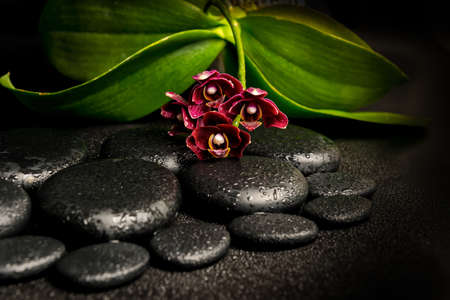 Spa still life of beautiful deep purple orchid flower, phalaenopsis and zen stones with drops on black  background, closeupの写真素材