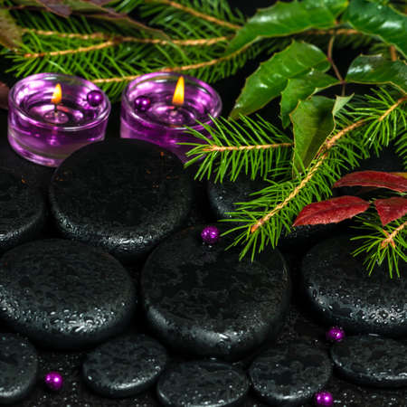 winter spa concept of zen basalt stones with drops, lilac candles and evergreen branches, closeupの写真素材