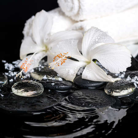Beautiful spa concept of delicate white hibiscus, zen stones with drops, snow, ice and towels on ripple water, closeupの写真素材