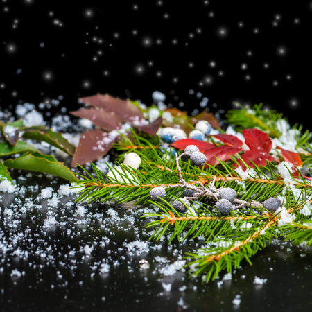 winter card of evergreen branches, red leaves and berry with snow, closeupの写真素材