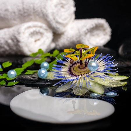 spa concept of passiflora flower, branches, towels, zen basalt stones, symbol Yin Yang with drops and pearl beads in dark waterの写真素材