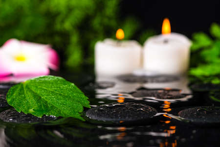 spa concept of green leaf hibiscus, plumeria with drops and candles on zen basalt stones in ripple reflection water, closeupの写真素材