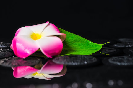 spa concept of plumeria flowerの写真素材