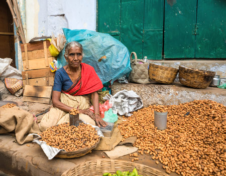 THANJAVOUR, INDIA - FEBRUARY 14: An unidentified woman in traditional Indian attire sells peanuts. Woman holds money. India, Tamil Nadu, Thanjavour(Darasuram). February 14, 2013のeditorial素材
