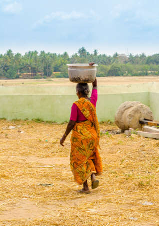THANJAVOUR, INDIA - FEBRUARY 13: An unidentified Indian woman in national dress carries on his head pelvis.  India, Tamil Nadu, near Thanjavour. February 13, 2013のeditorial素材