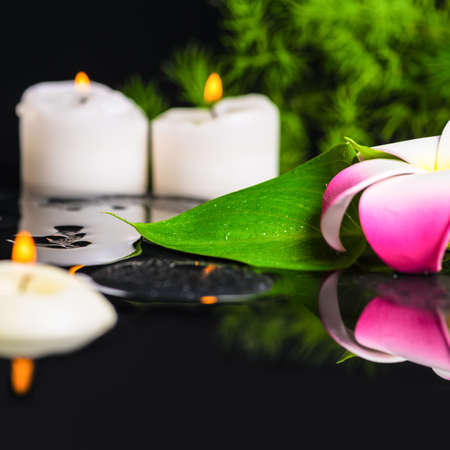 green leaf calla lily, plumeria with drops and candles on zen stones in reflection water, closeupの写真素材