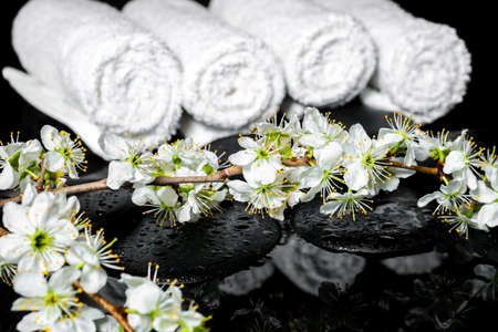 blooming twig of plum, white towels on zen stones with reflection water, spa background, closeupの写真素材
