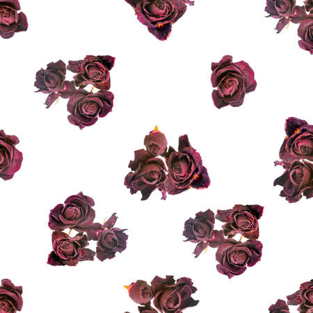 Beautiful dried red dark roses like as background is isolated on white, closeupの写真素材