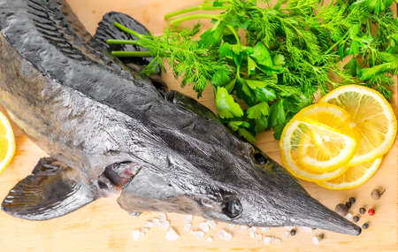 top down of fresh raw sturgeon fish with greens, lemon, different peppers and salt, closeupの写真素材