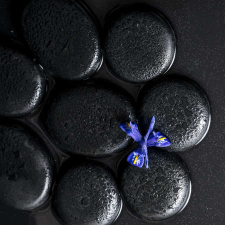beautiful spa concept top down of iris flower and black zen stones on water, closeupの写真素材