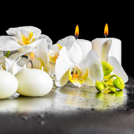 beautiful spa composition of blooming white orchid flower, phalaenopsis with dew and candles on black background, closeupの写真素材