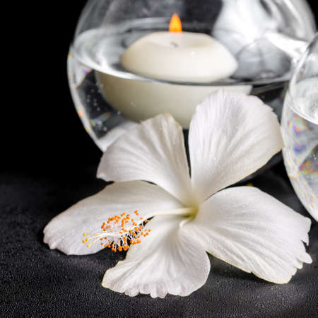 spa concept of white hibiscus flower and candles in vase with water, closeupの写真素材