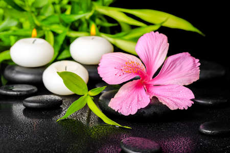 beautiful spa setting of pink hibiscus flower, twigs bamboo and candle on zen basalt stones with dew, closeupの写真素材