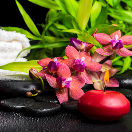 spa concept of blooming twig red orchid flower, phalaenopsis, bamboo with dew, towels and candle on zen basalt stones, closeupの写真素材