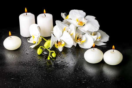 beautiful spa concept of blooming white orchid flower, phalaenopsis with dew and candles on black background, closeupの写真素材