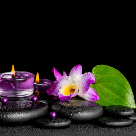 spa concept of purple orchid dendrobium, leaf with dew,  candles and pearl beads  on black zen stones, closeupの写真素材